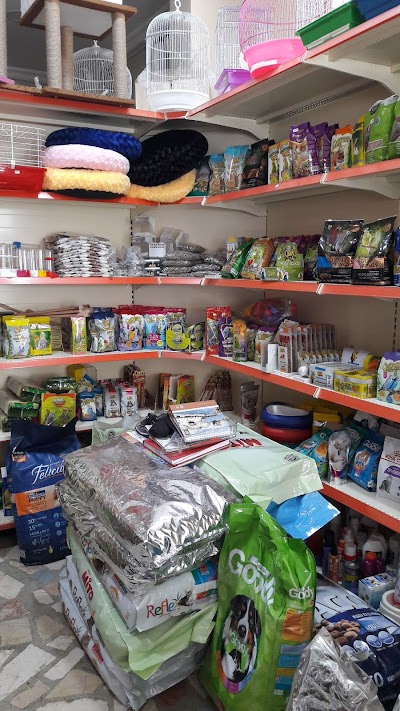 Bereket Petshop İpek Yem Bayi