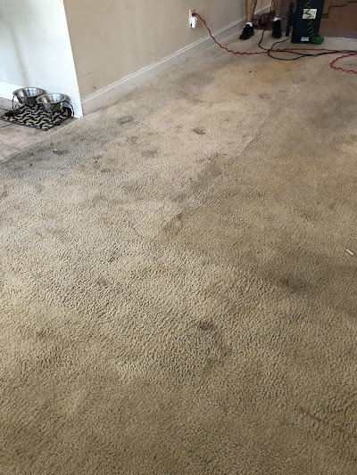 Lovick and Sons Professional Carpet Cleaning