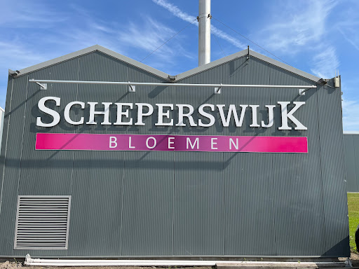 Scheperswijk Bloemen