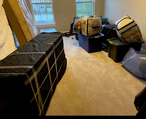 Skylink Movers - Visual