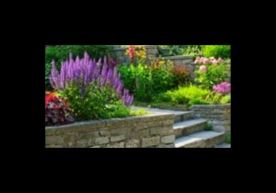 Astati F.lli Garden Vivai Piante - Thumbnail