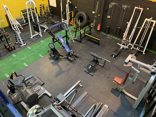 Wise Monkey Health and Fitness