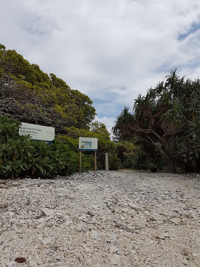 Île Lady Musgrave