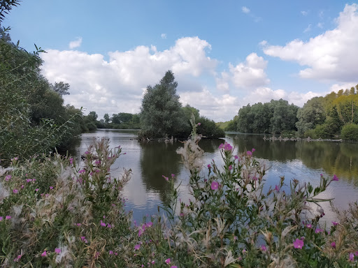 Marais de Fretin parking - Thumbnail