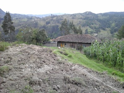 Photos of Comunidad Tambopamba