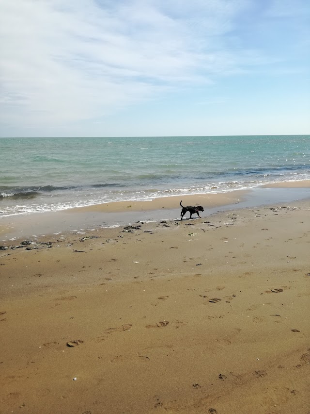 arenile La Sacca ufficio 8