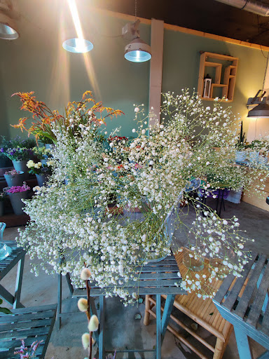 Daans Bloemen, Oegstgeest - Thumbnail