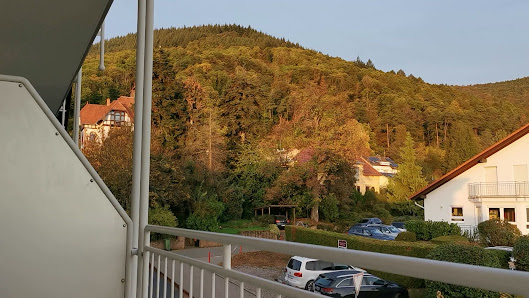 Nossek Rüdiger Oberdorf 46, 76835 Weyher in der Pfalz, Deutschland