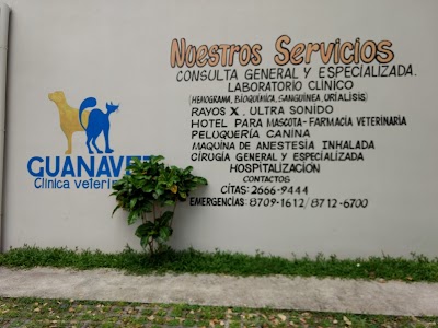 Photos of Guanavet Veterinary Clinic