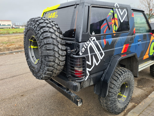 MI46L - Visual
