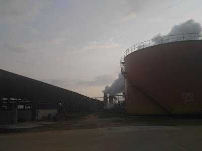 Photos of DekelOil Factor Ayenouan