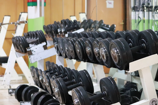 Palestra New Body Line - Thumbnail