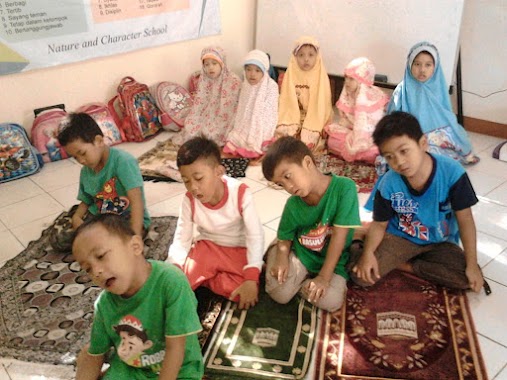 TK - SD - SMP Islam Terpadu Permata Madani, Author: Bang toyib