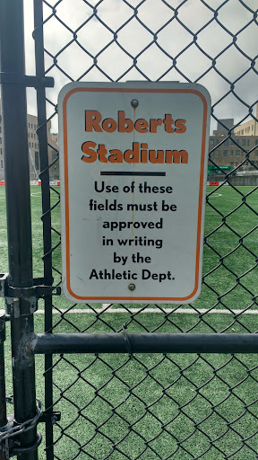 Roberts Stadium - Visual