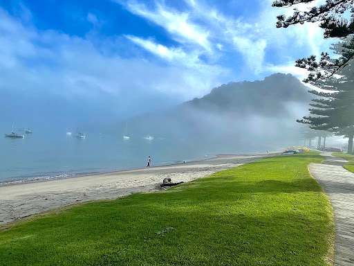 Pilot Bay Boardwalk - New Zealand