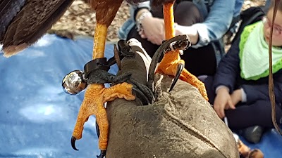 Ciuchino Birichino - Ostuni Adventure Park