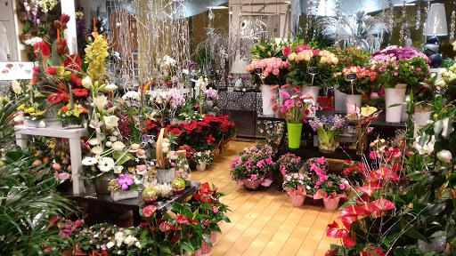 La Tonnelle Fleurs - Thumbnail