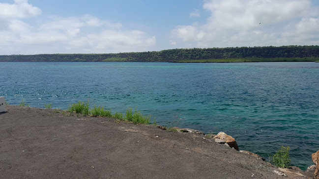 Opiniones de Agencia de Viajes Discovering Galapagos en Puerto Ayora - Agencia de viajes
