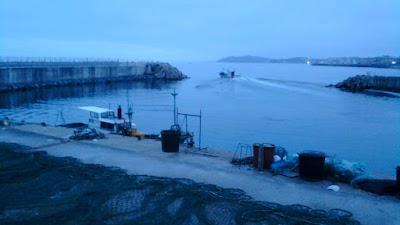 Photos of 속초항