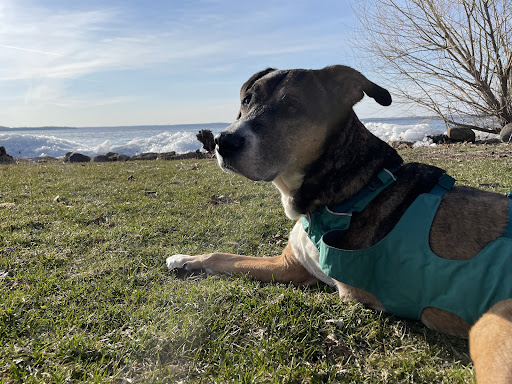 Faircrest Veterinary Care - Thumbnail