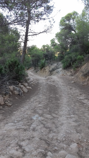 Tozal Montañés - Thumbnail