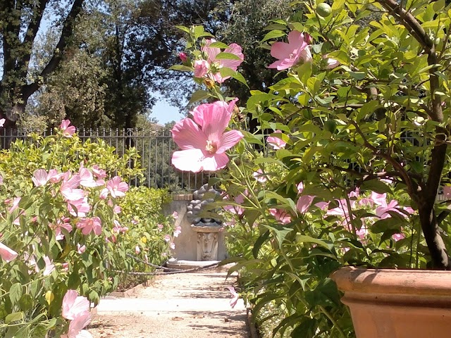 Parcheggio Saba - Villa Borghese