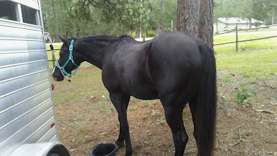 Gum Springs Horse Campground