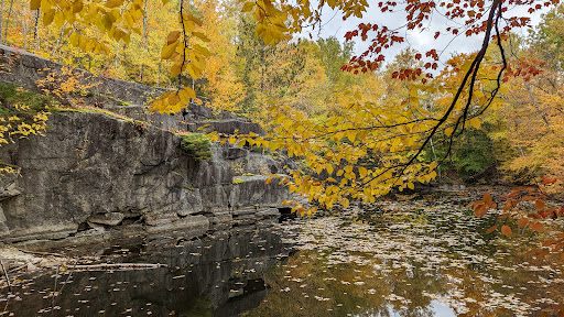 The Quarries Disc Golf Course - Thumbnail