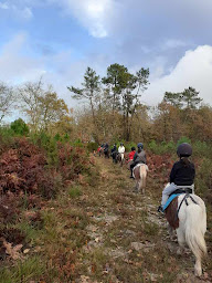Photo n°17 de L'Equit de Lulu à Sarbazan (Service de tours de poneys)