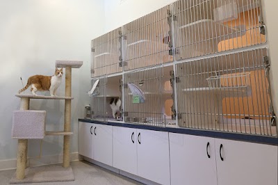 Photos of Haile Plantation Animal Clinic