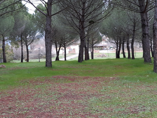 Los Pontones - Thumbnail
