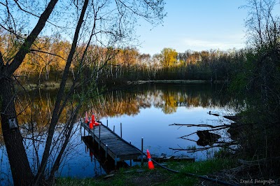 School of Environmental Studies