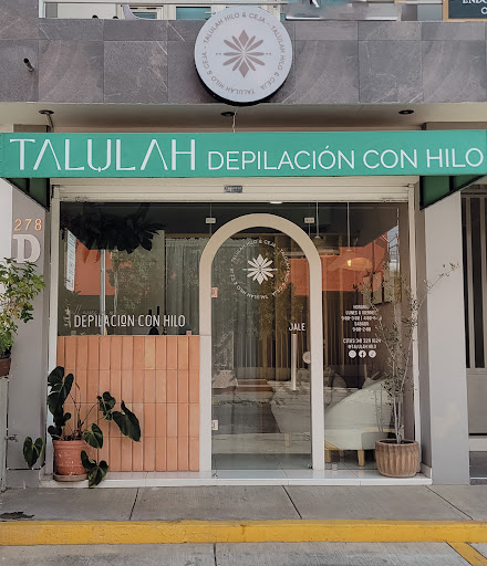 TALULAH hilo y ceja