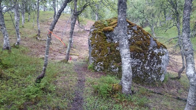 Hinnøya