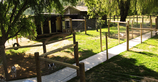 Four Foot Lodge Boarding Kennel & Cattery