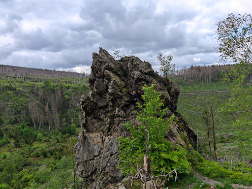 Oberharz - Thumbnail