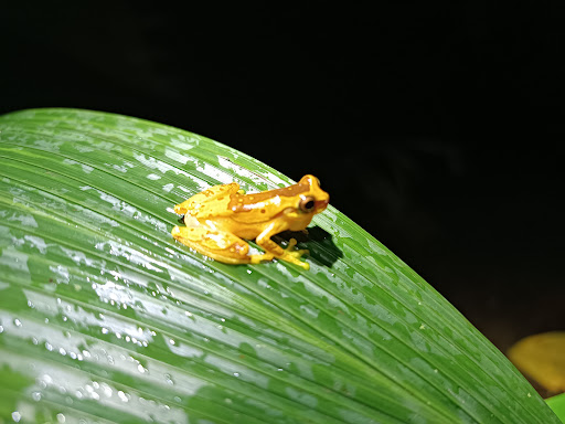 Arenal Private Tours and Small Groups Gallery - Mexico