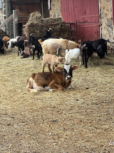 Ironstone Creek Farm - Thumbnail