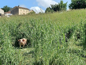 Photo n°12 de La Ferme du Vieux Bourg à Castel-Sarrazin (Marché fermier)
