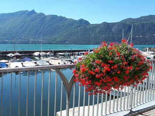 Petit train touristique d'Aix-les-Bains - Thumbnail