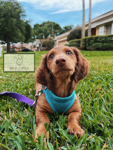 Walk the Walk Professional Pet Care - Thumbnail