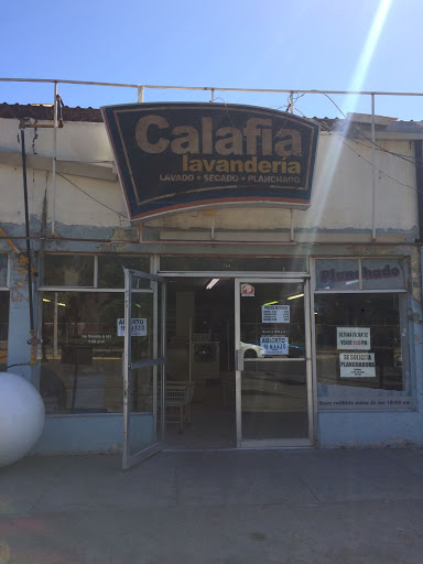 Lavamatica calafia - Thumbnail