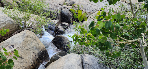 Caples Lake - Visual