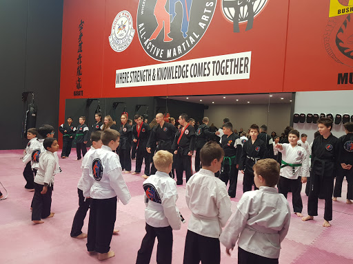 All Active Martial Arts - Thumbnail