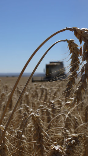 AGROTRIBO S,L - Visual