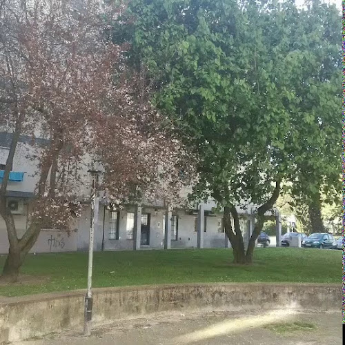 Comentários e avaliações sobre o Levar no Pacote