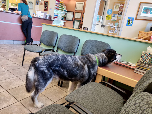 College Village Animal Clinic - Thumbnail