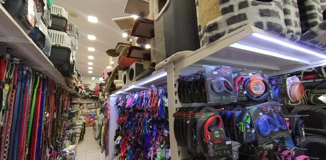 Αξιολογήσεις για το CHANIA PET WORLD ΒΕΝΕΤΑΚΗΣ ΙΩΑΝΝΗΣ στην Χανιά - Εκπαιδευτής σκύλου