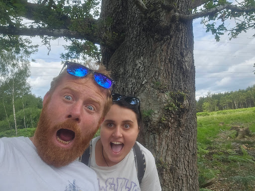 Giant Oak - Visual