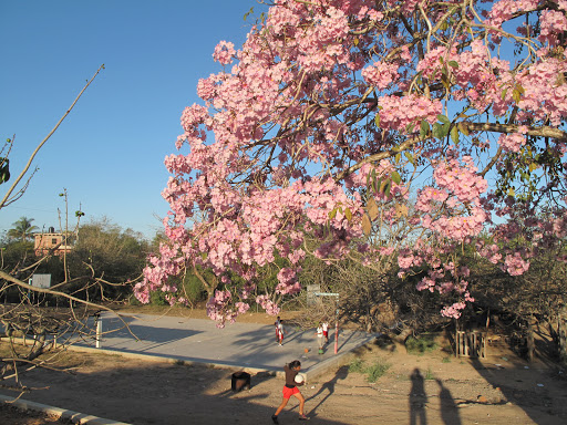 Secundaria tecnica 143